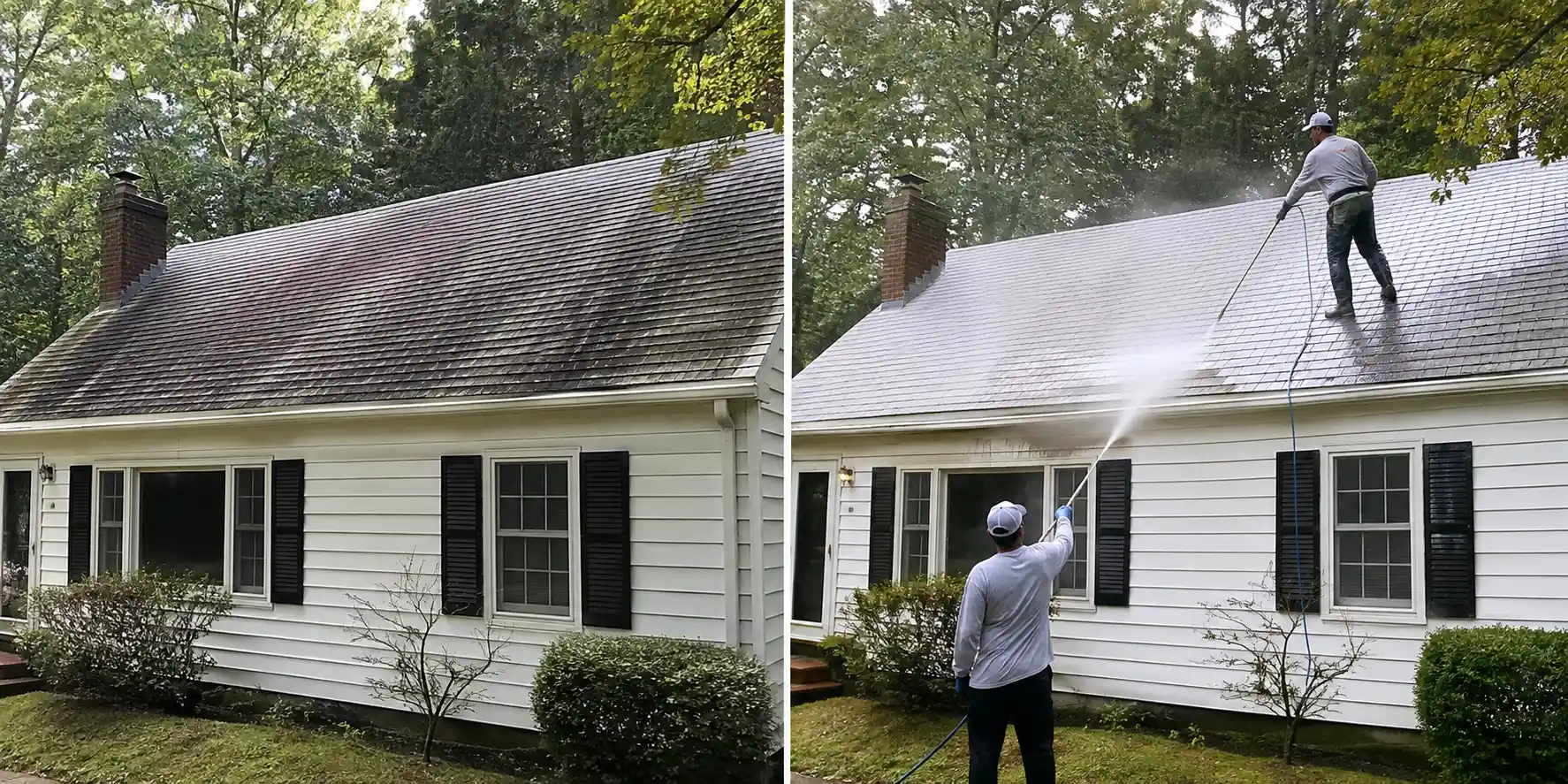 Before and after soft washing black algae streaks off a shingle roof in Long Island, NY